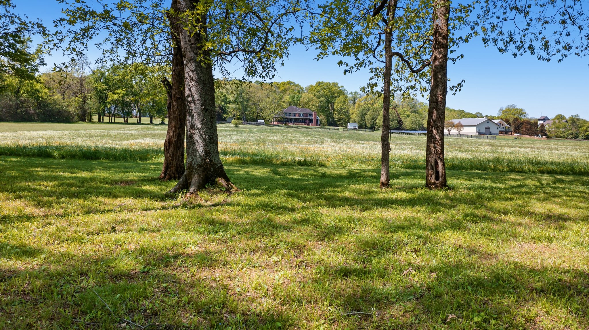 4360 Arno Road Franklin, TN 37064 - Photo 20 of 24 a view of a garden with a tree