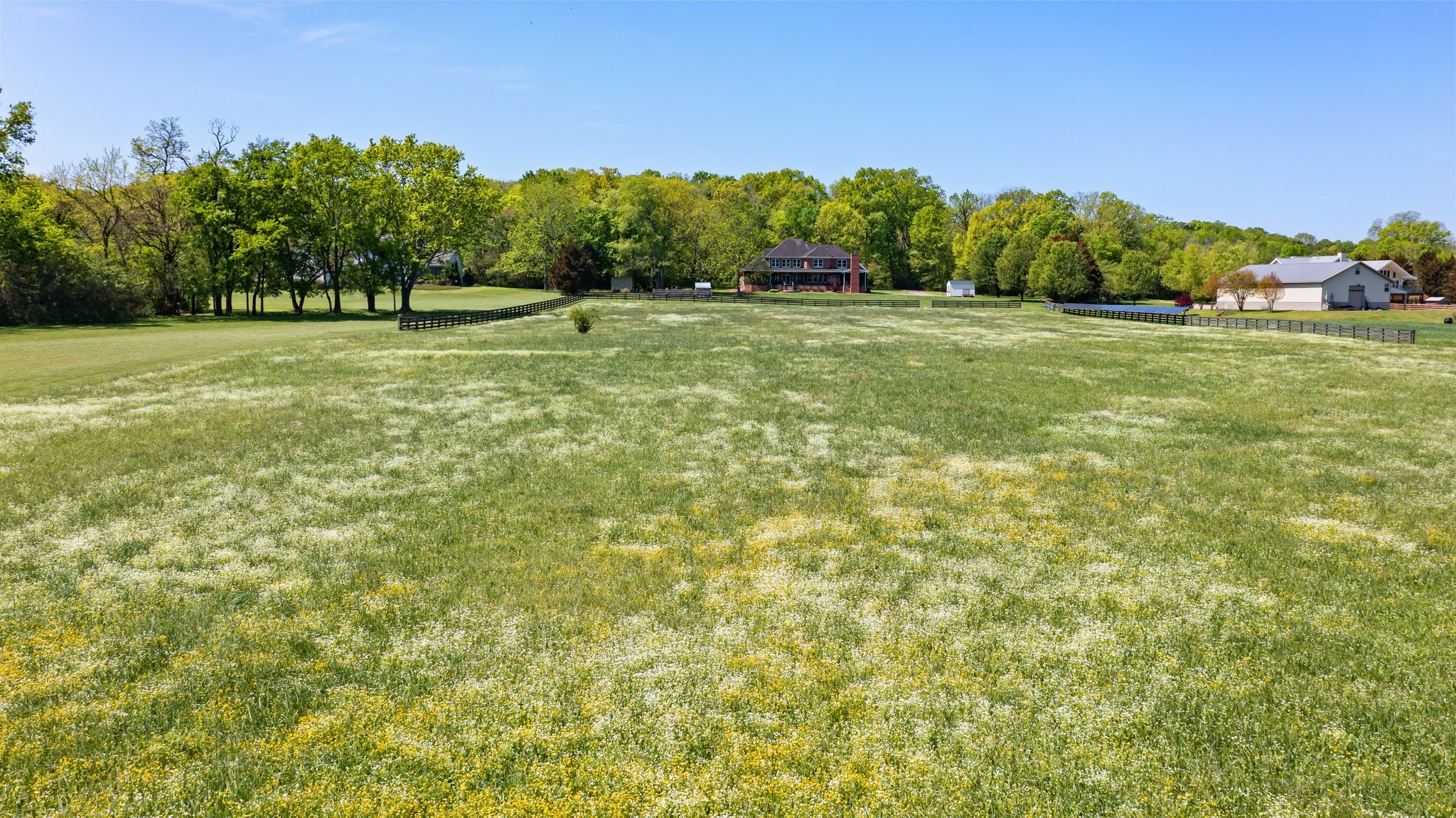 4360 Arno Road Franklin, TN 37064 - Photo 21 of 24 a grassy field with trees in the background