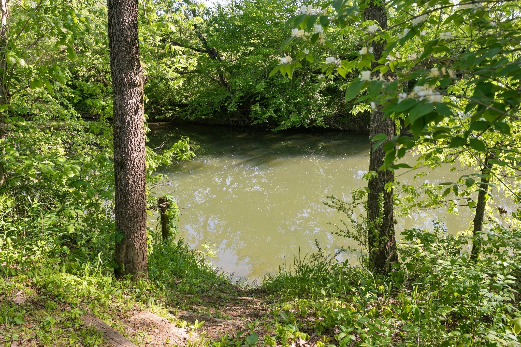 4360 Arno Road Franklin, TN 37064 - Photo 23 of 24 a view of lake background with lots of green space