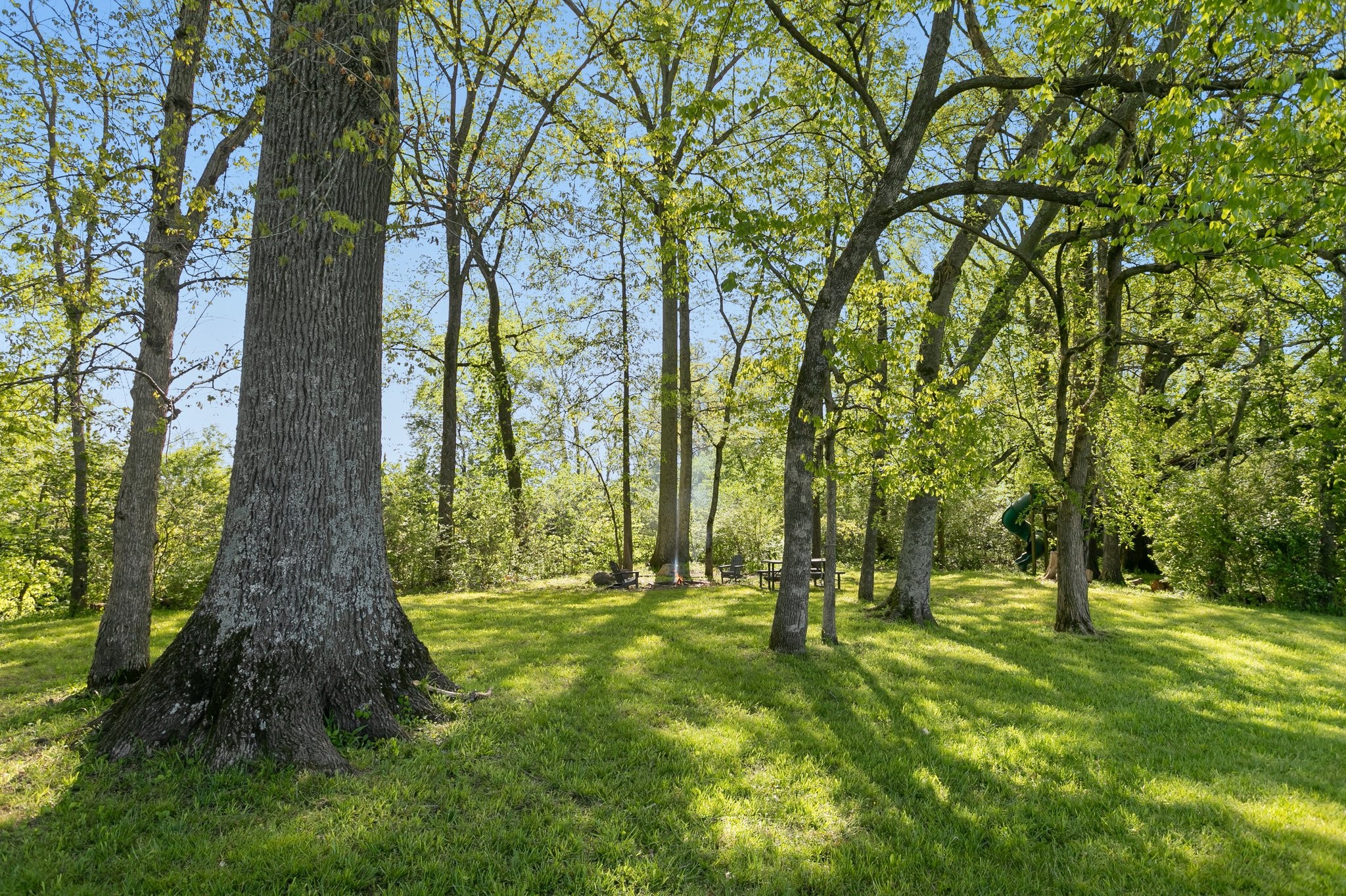 4360 Arno Road Franklin, TN 37064 - Photo 24 of 24 a view of outdoor space with a garden