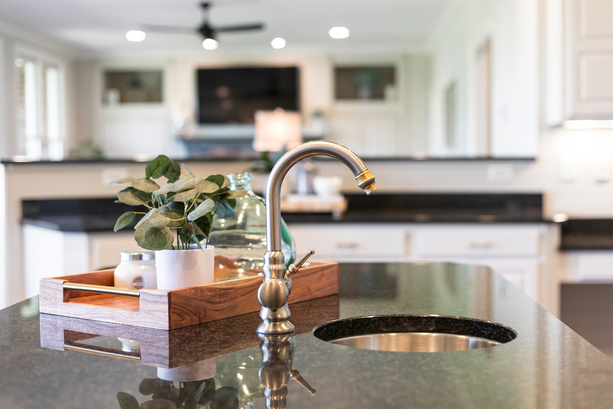 4360 Arno Road Franklin, TN 37064 - Photo 8 of 24 a living room with furniture and a potted plant