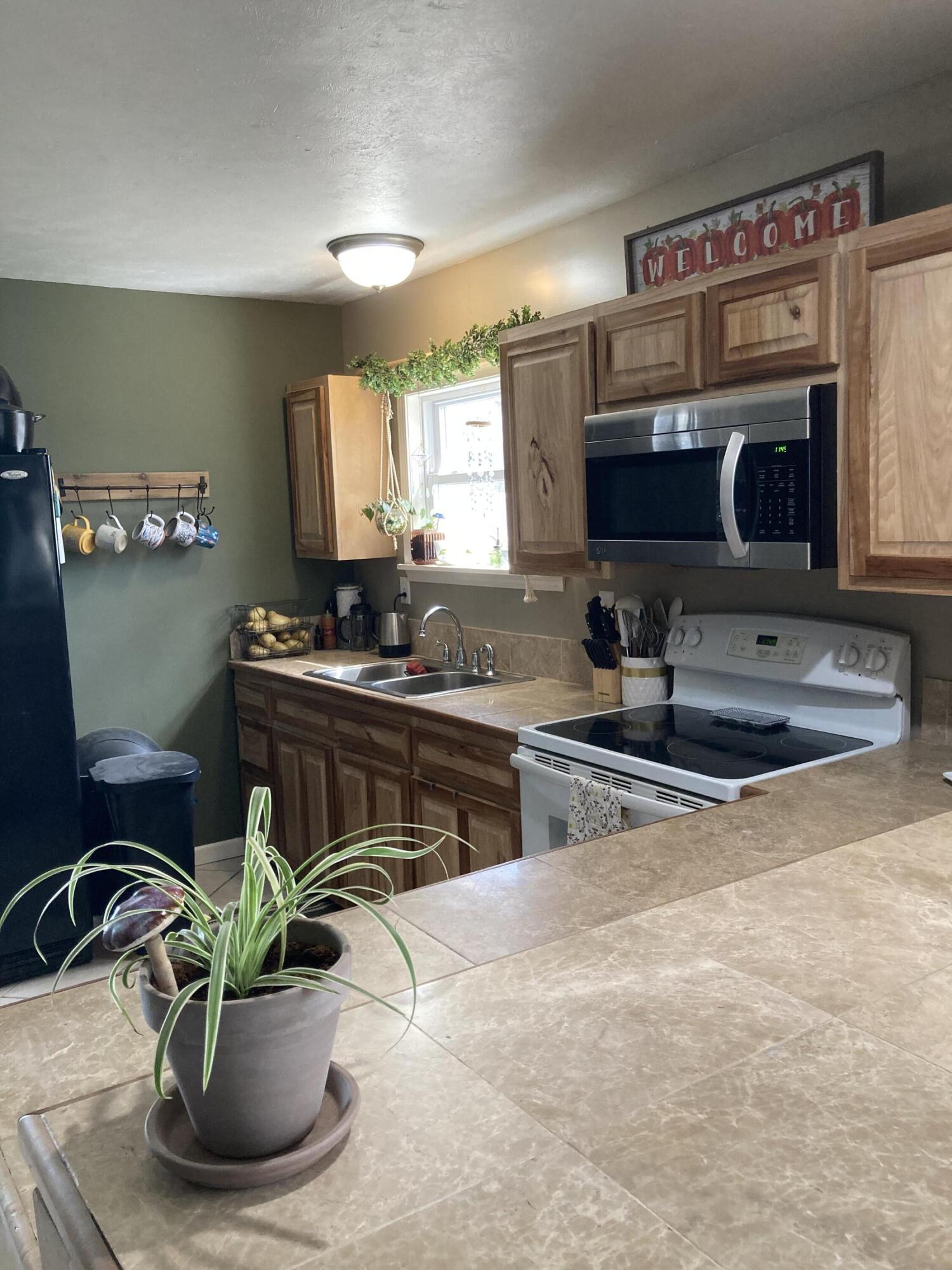 23351 Bluegill Road Sears, MI 49679 - Photo 10 of 31 57657AA0-D160-4EF7-B0D9-0F7D66C24C5F