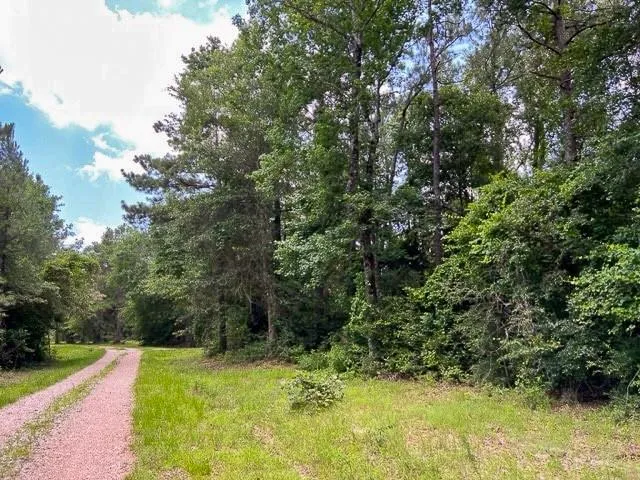 a view of swimming pool with a yard
