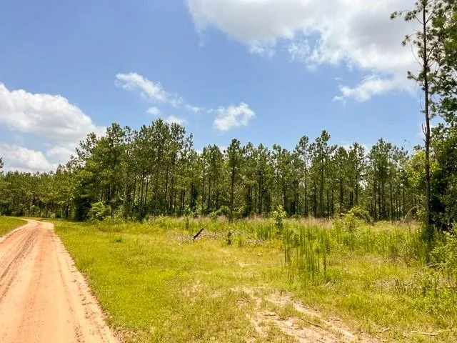 a swimming pool with trees in front of it