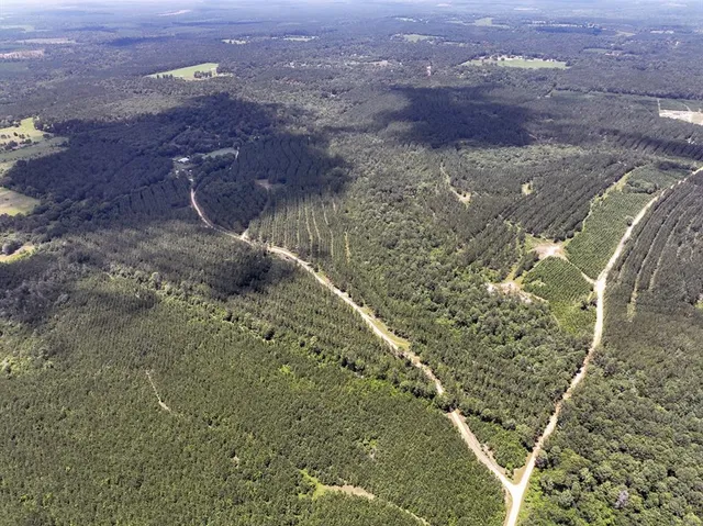 a view of a yard with trees