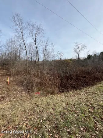 $64,900 | 453 Gage Road, Delanson, NY 12053