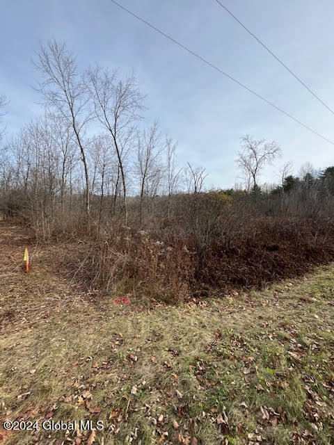 453 Gage Road Delanson, NY 12053 - Photo 3 of 4 3