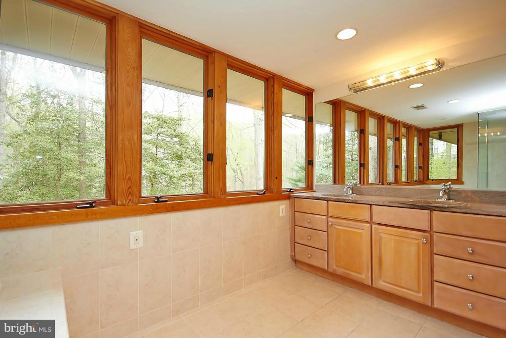 611 Utterback Store Road Great Falls, VA 22066 - Photo 20 of 30 Bath (Master)