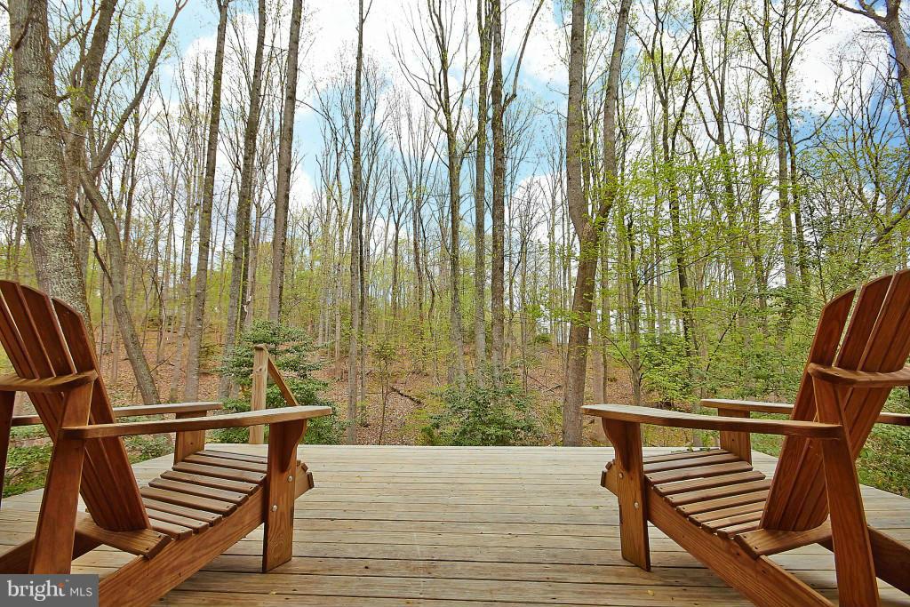 611 Utterback Store Road Great Falls, VA 22066 - Photo 26 of 30 Exterior (Rear)