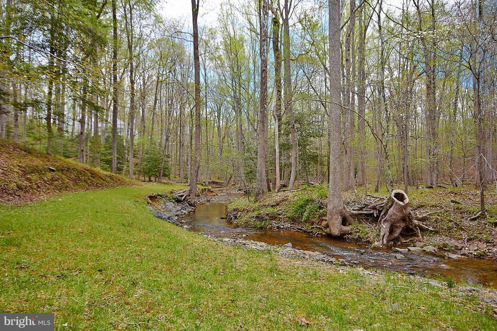 611 Utterback Store Road Great Falls, VA 22066 - Photo 8 of 30 Tranquil stream