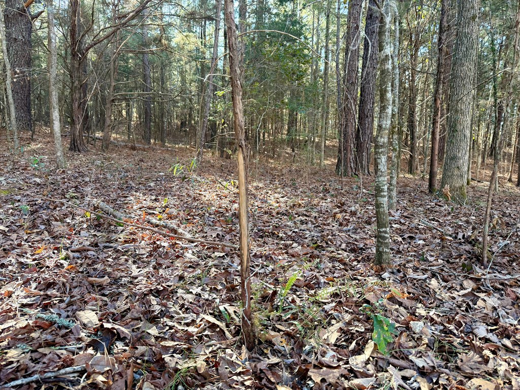 0 Neely Ferry Road Gray Court, SC 29645 - Photo 19 of 23 Gallery Image 19