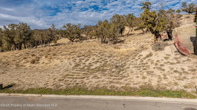a view of a yard with a tree