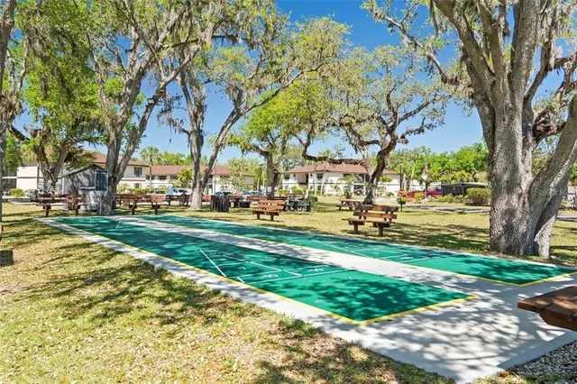 a view of a house with a garden