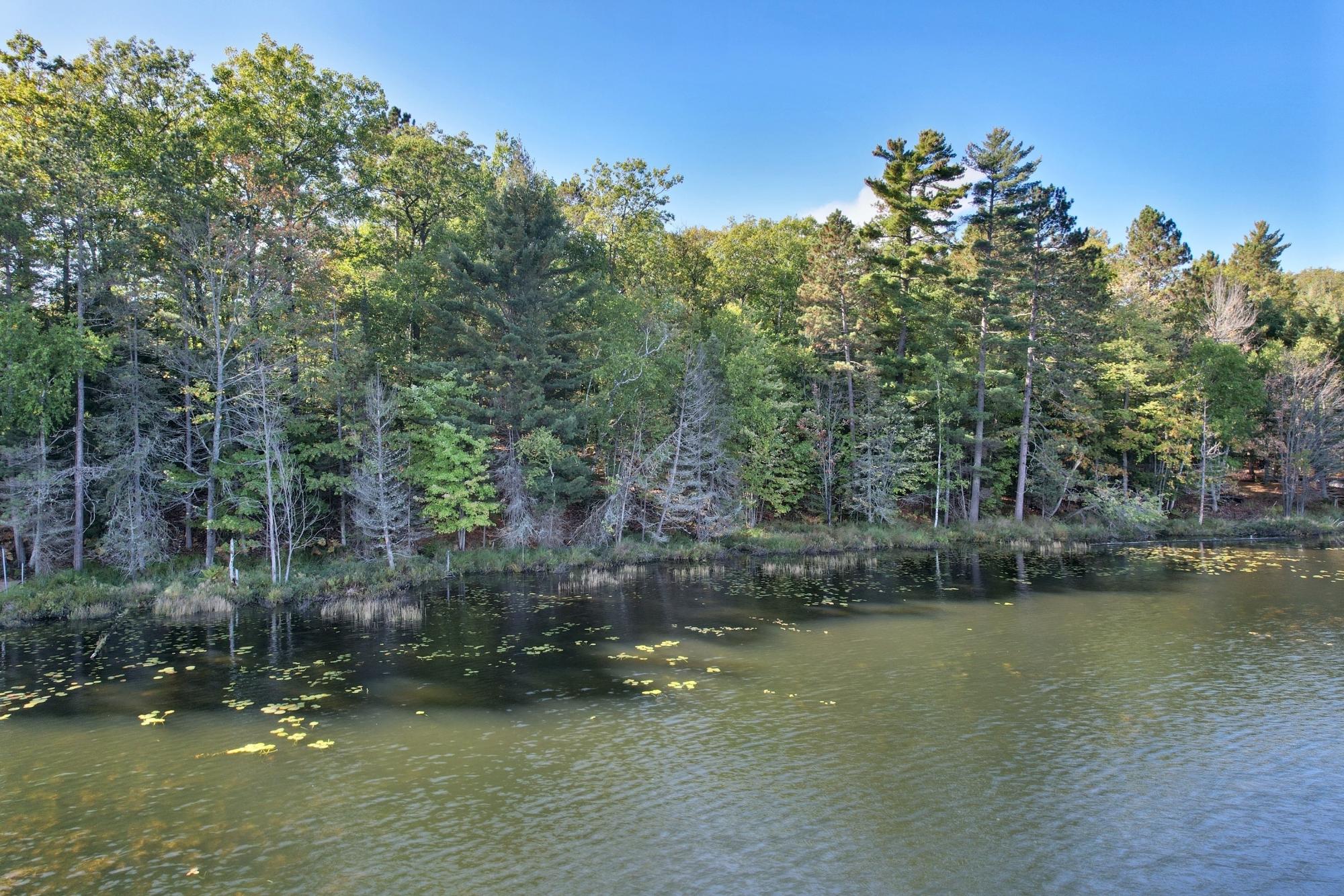 On Boygan Lake Road Land O'Lakes, WI 54540 - Photo 1 of 8 Gallery Image 1