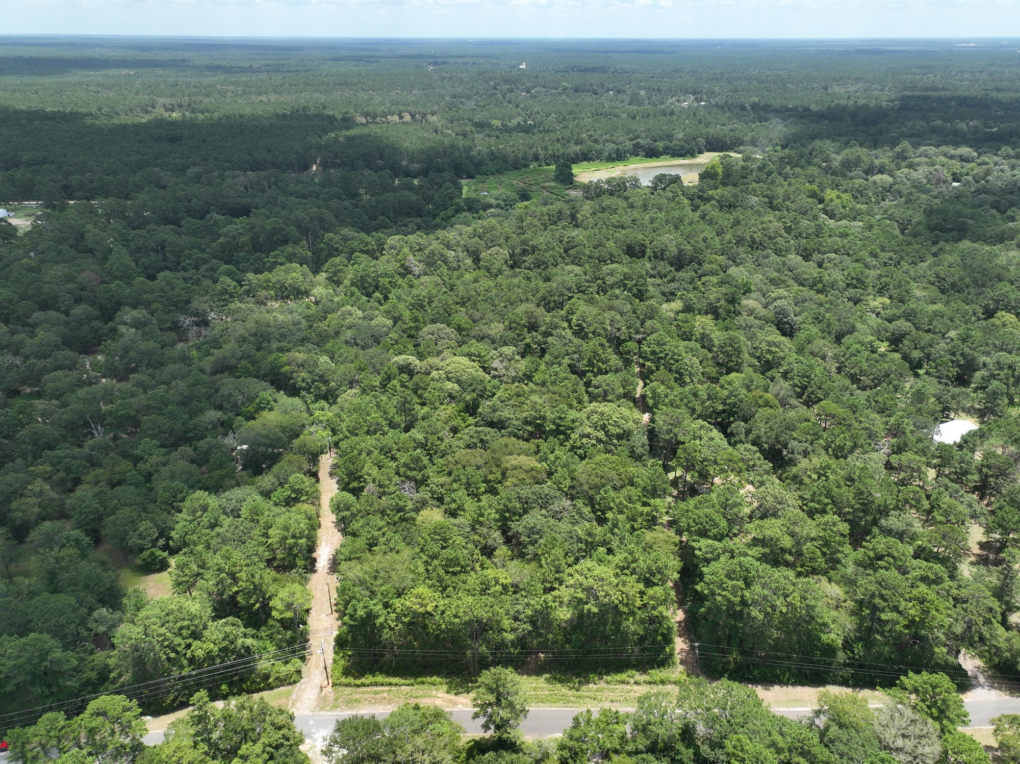 16893 Whippoorwill Road Navasota, TX 77868 - Photo 6 of 31