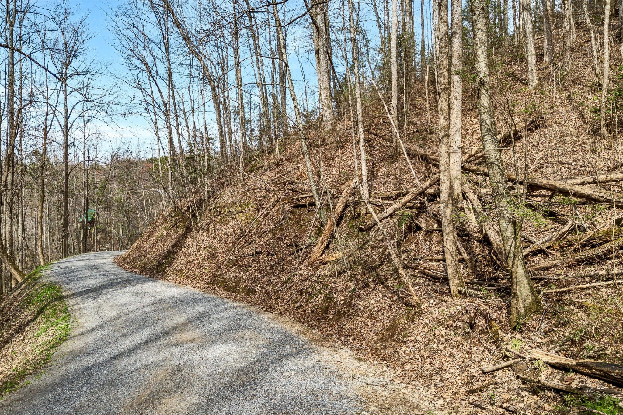 345 Lamon's Loop Sevierville, TN 37876 - Photo 1 of 19 Gallery Image 1