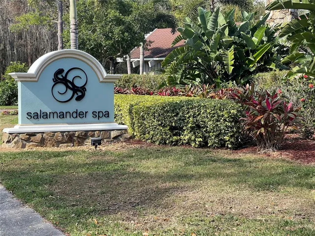 a view of a park with plants and trees