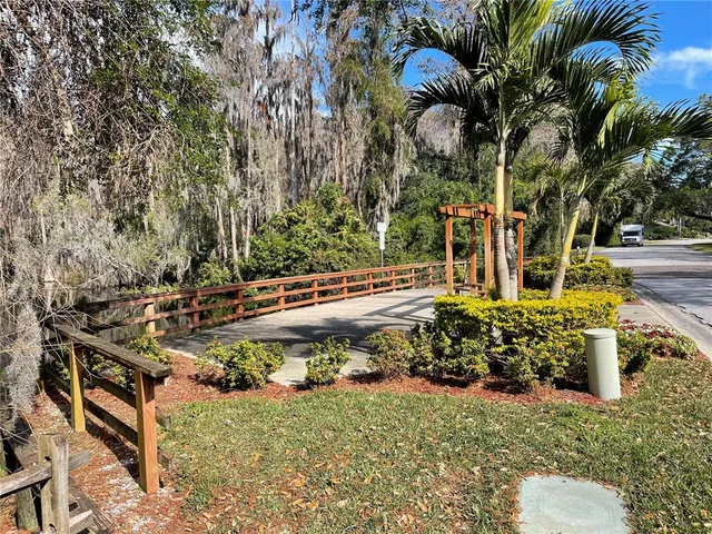 a view of a yard with plants