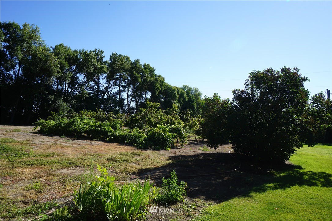 7 Beverly Burke Road Quincy, WA 98848 - Photo 19 of 21 Gallery Image 19