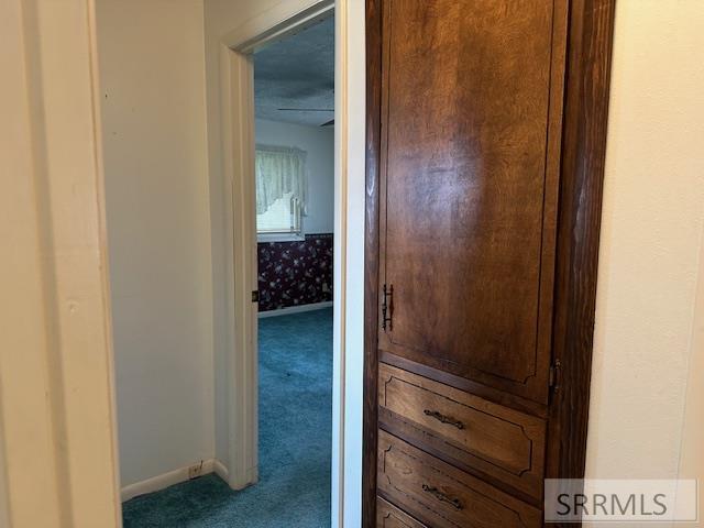 643 West 100 Road South Blackfoot, ID 83221 - Photo 23 of 47 Built in cabinets