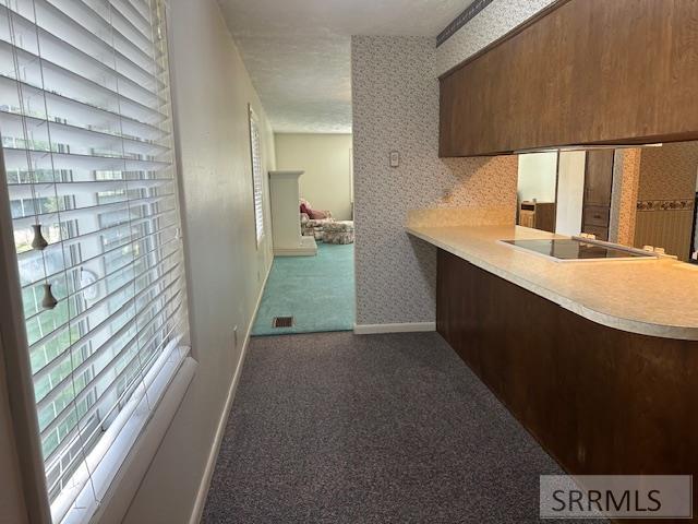 643 West 100 Road South Blackfoot, ID 83221 - Photo 9 of 47