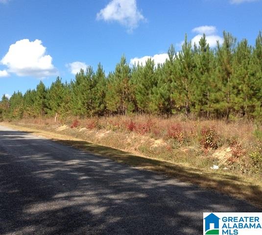 78 Highway 78, Unit 72 ACRES Heflin, AL 36264 - Photo 1 of 7