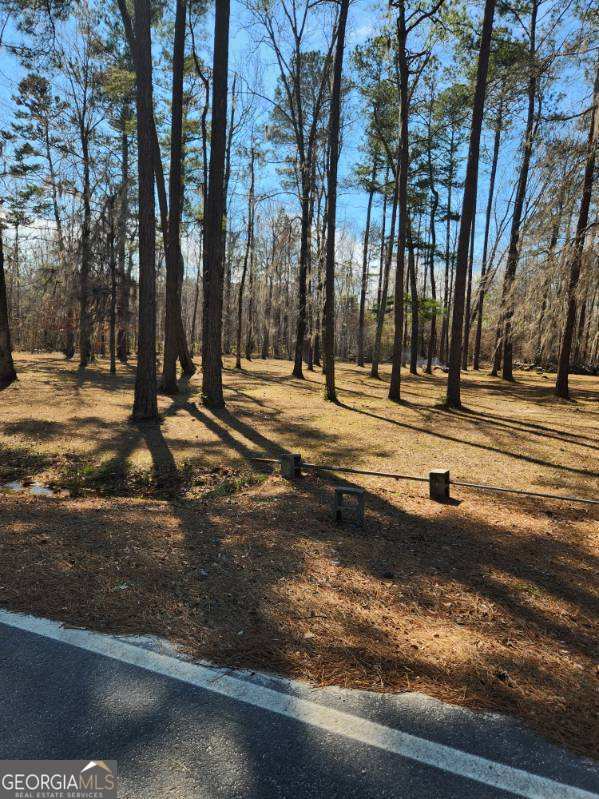 885 Henderson Road Dublin, GA 31021 - Photo 28 of 38