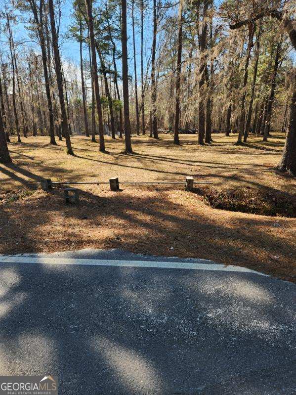 885 Henderson Road Dublin, GA 31021 - Photo 29 of 38