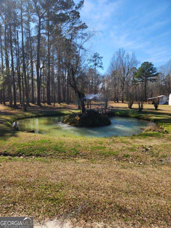 885 Henderson Road Dublin, GA 31021 - Photo 30 of 38