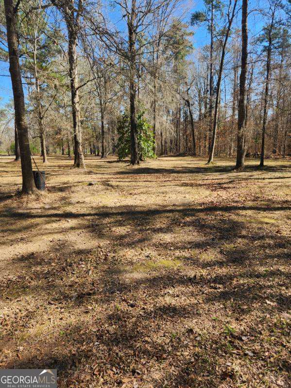 885 Henderson Road Dublin, GA 31021 - Photo 31 of 38