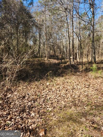 885 Henderson Road Dublin, GA 31021 - Photo 34 of 38