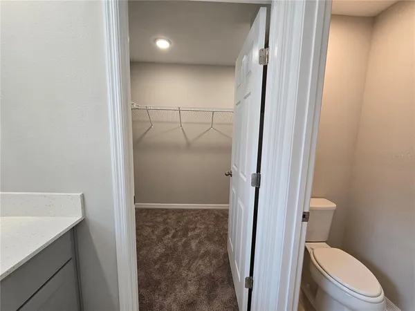 a bathroom with a shower and a toilet