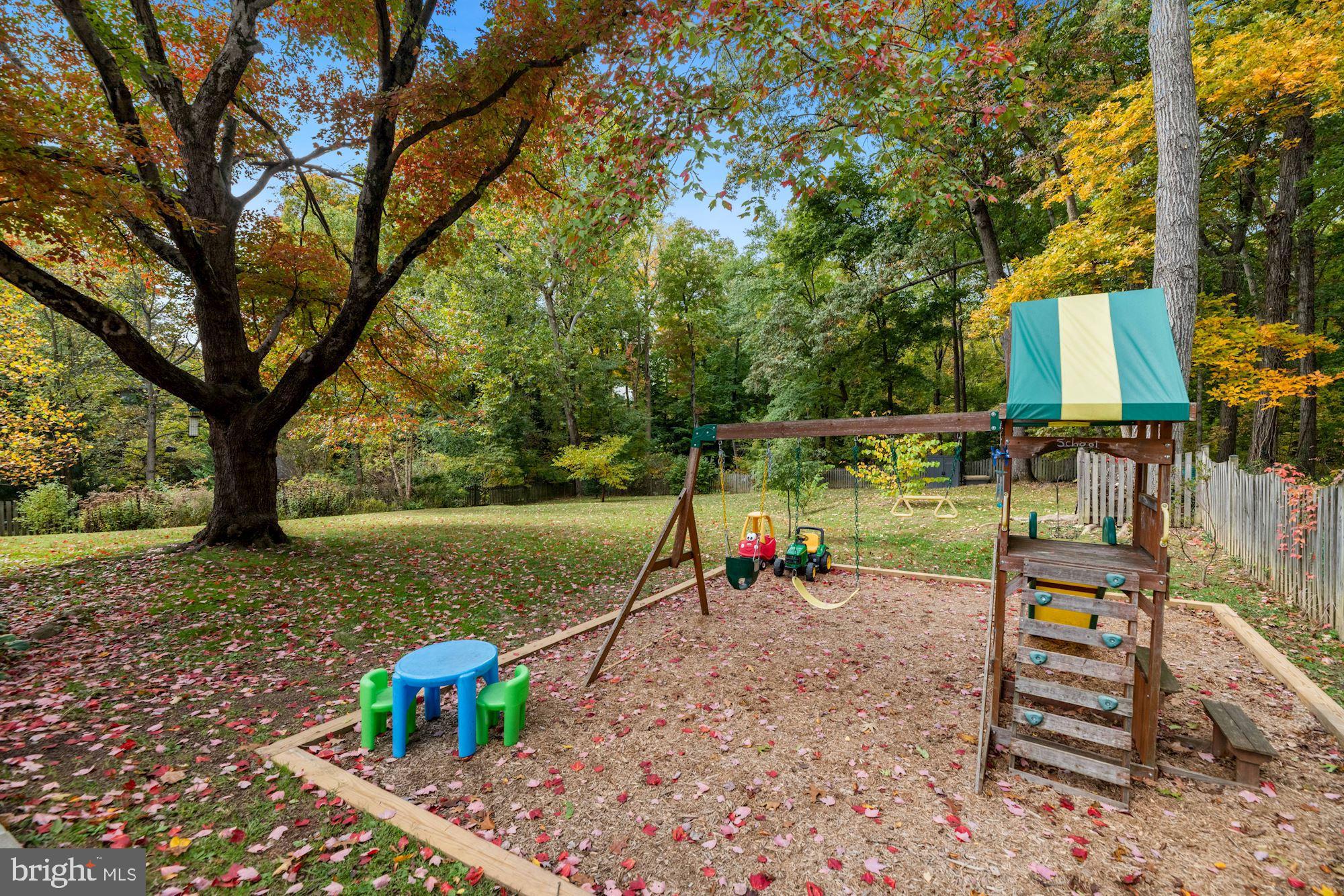 7016 Leesville Boulevard Springfield, VA 22151 - Photo 51 of 60 Look at that Beautiful, Perfect Climbing Tree!