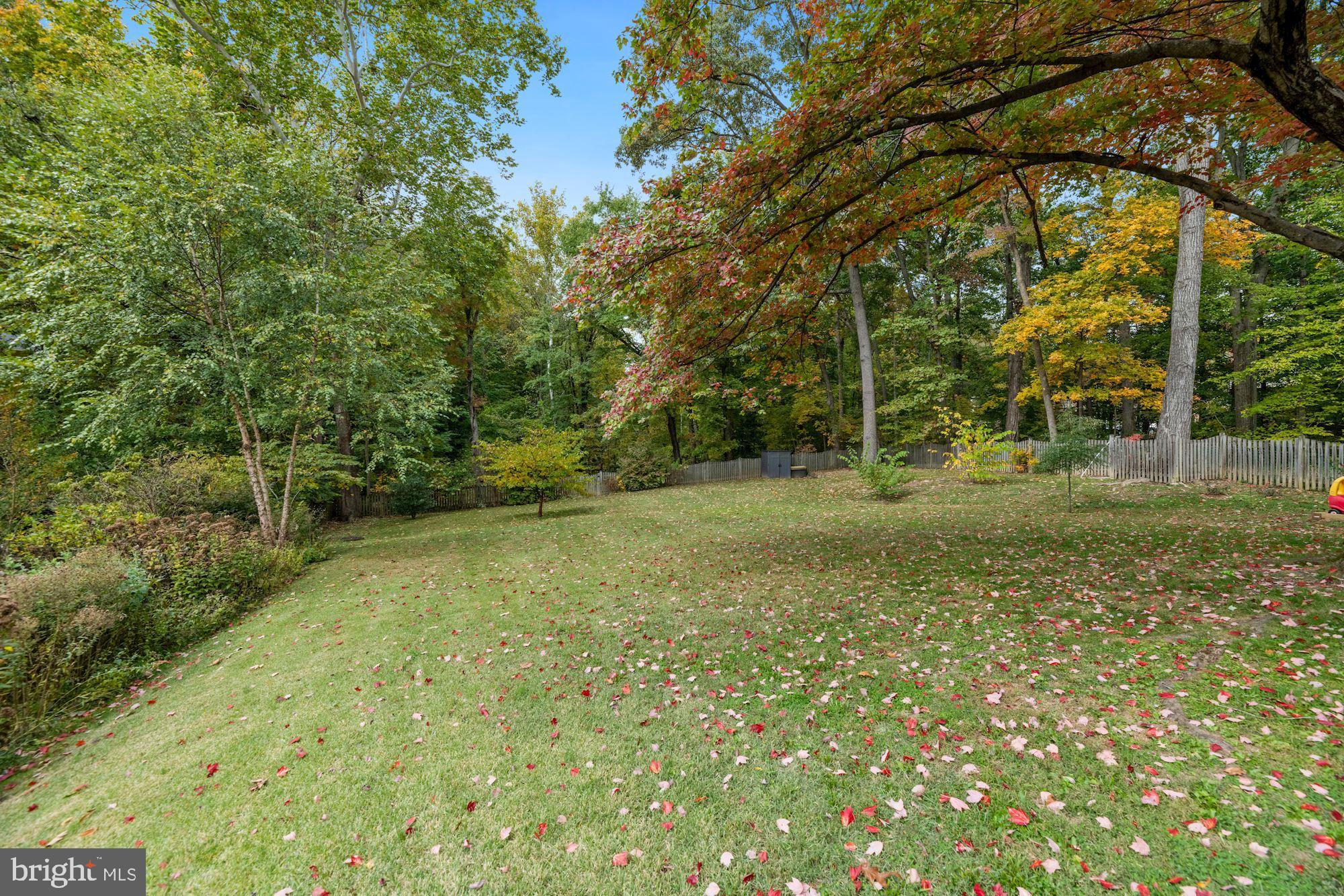 7016 Leesville Boulevard Springfield, VA 22151 - Photo 52 of 60 In My 17 Years, This is the Best Yard I've Seen!
