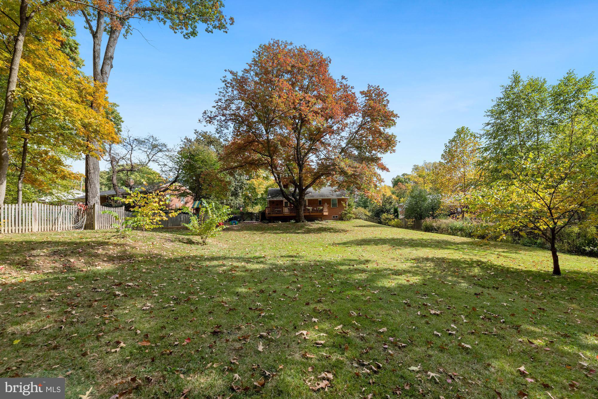 7016 Leesville Boulevard Springfield, VA 22151 - Photo 54 of 60 Absolutely Stunning Lot - HUGE, FLAT, DEEP, WIDE!