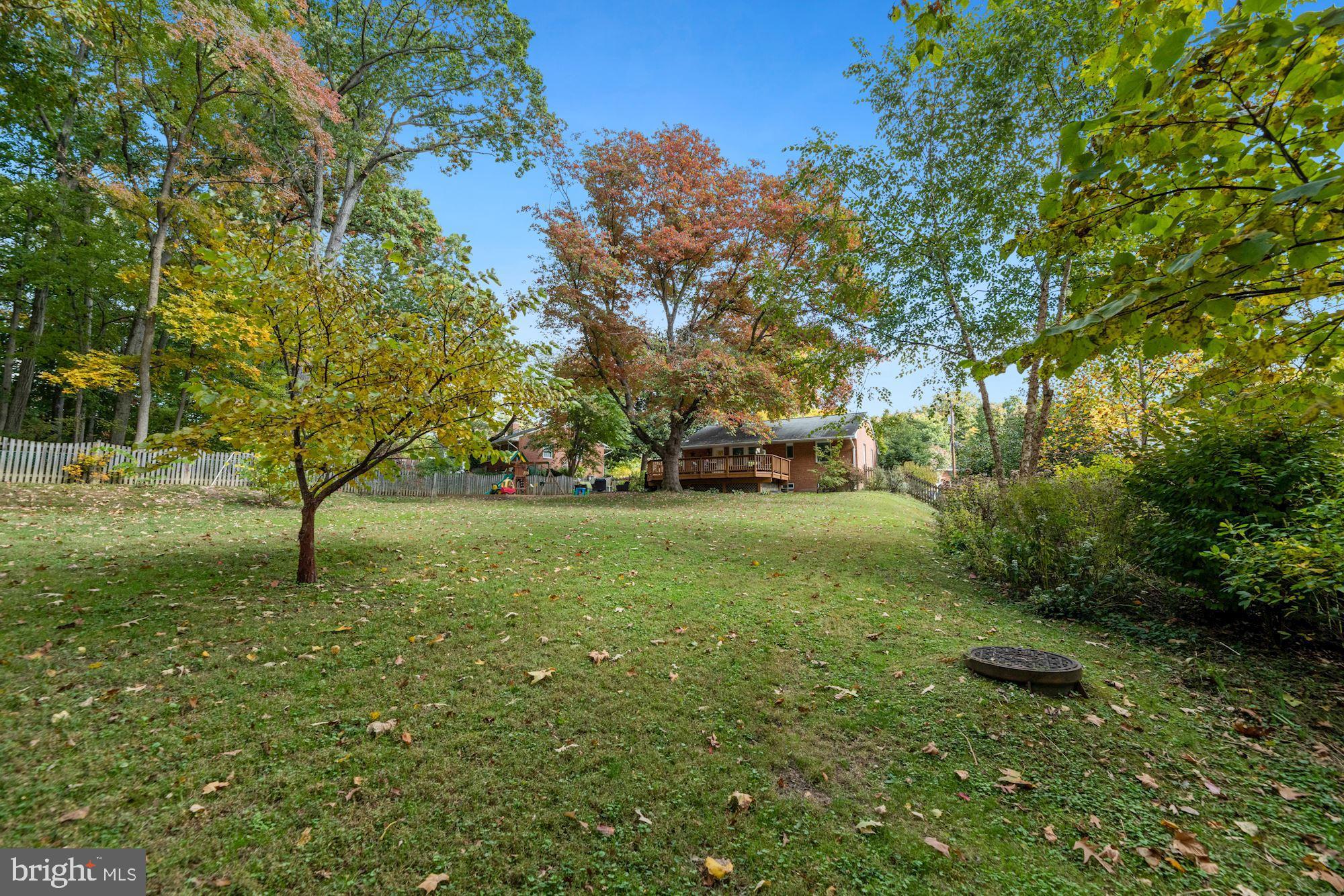 7016 Leesville Boulevard Springfield, VA 22151 - Photo 55 of 60 This Yard is the Definition of OASIS & PARADISE!
