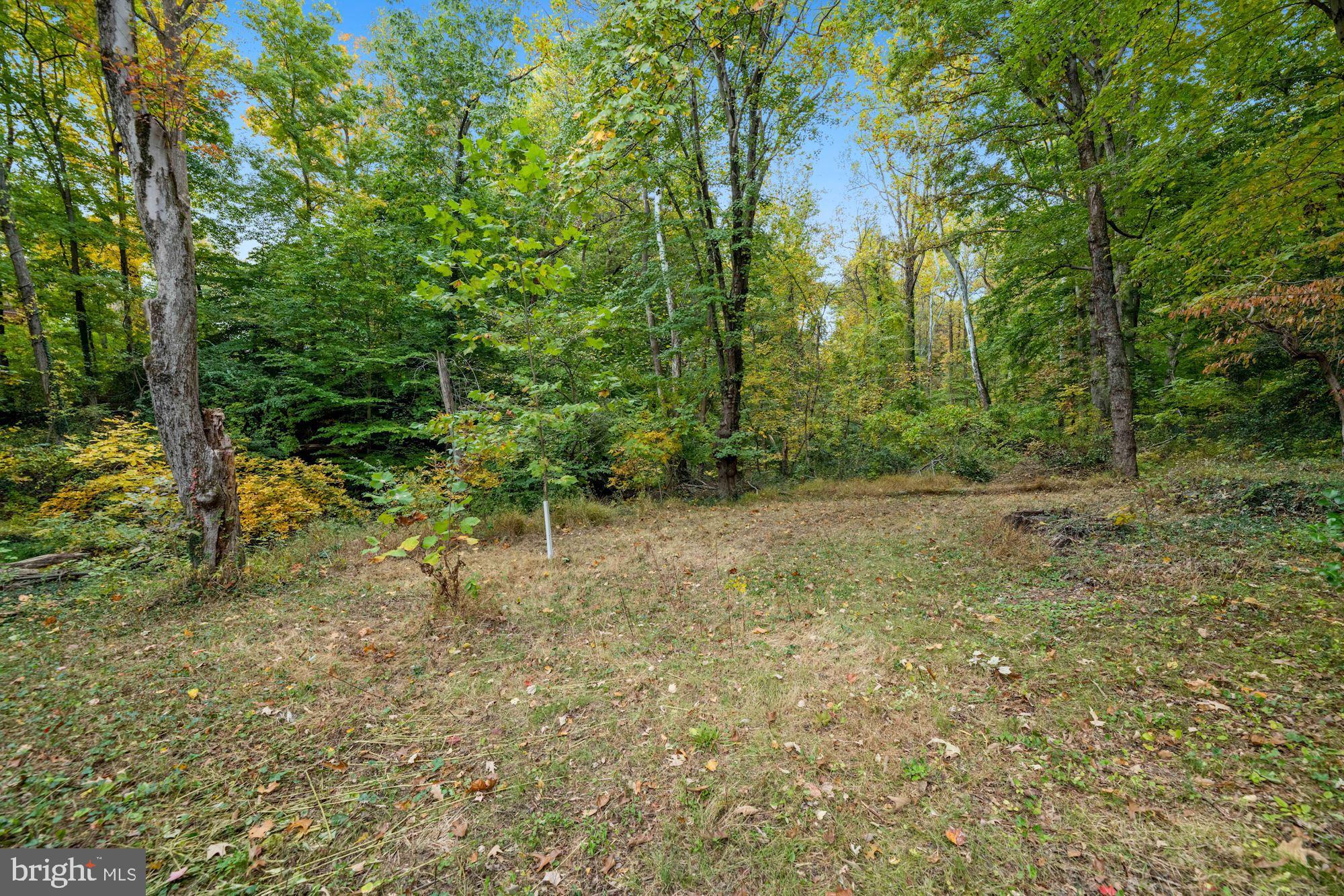 7016 Leesville Boulevard Springfield, VA 22151 - Photo 57 of 60 Lot is SO LARGE That it Extends PAST Fence Line!