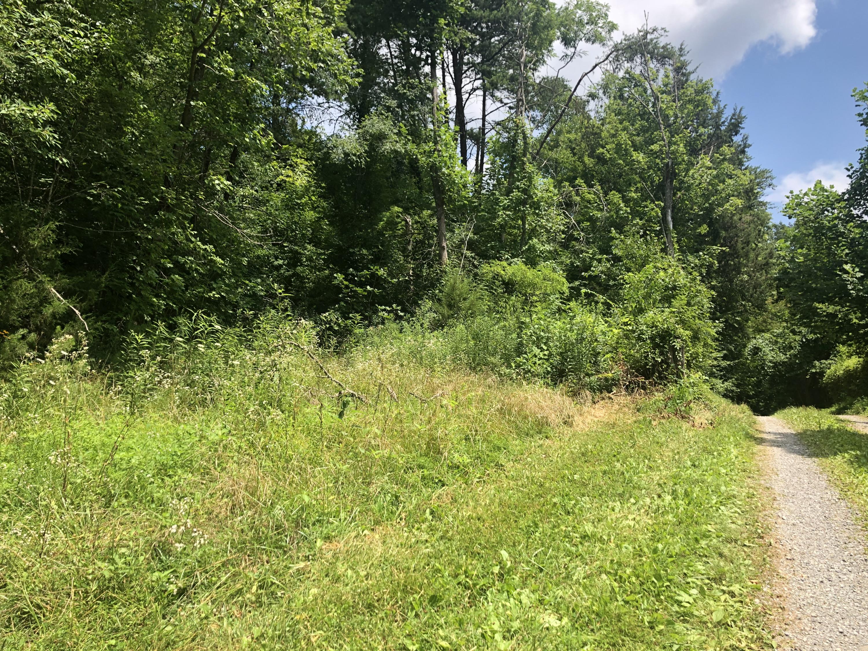 0 Mountain Loop Road, Unit 6 Thorn Hill, TN 37881 - Photo 3 of 4 Lot 6 (2)