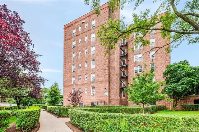 a view of a tall building with a tree in front of it