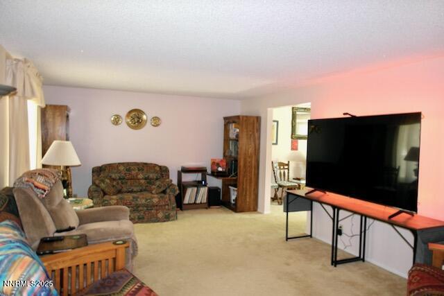 110 Drew Drive Reno, NV 89511 - Photo 12 of 30 00 - 12