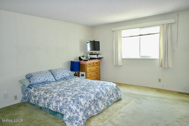 110 Drew Drive Reno, NV 89511 - Photo 13 of 30 00 - 13