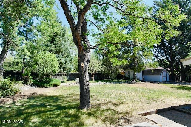 110 Drew Drive Reno, NV 89511 - Photo 22 of 30 00 - 22