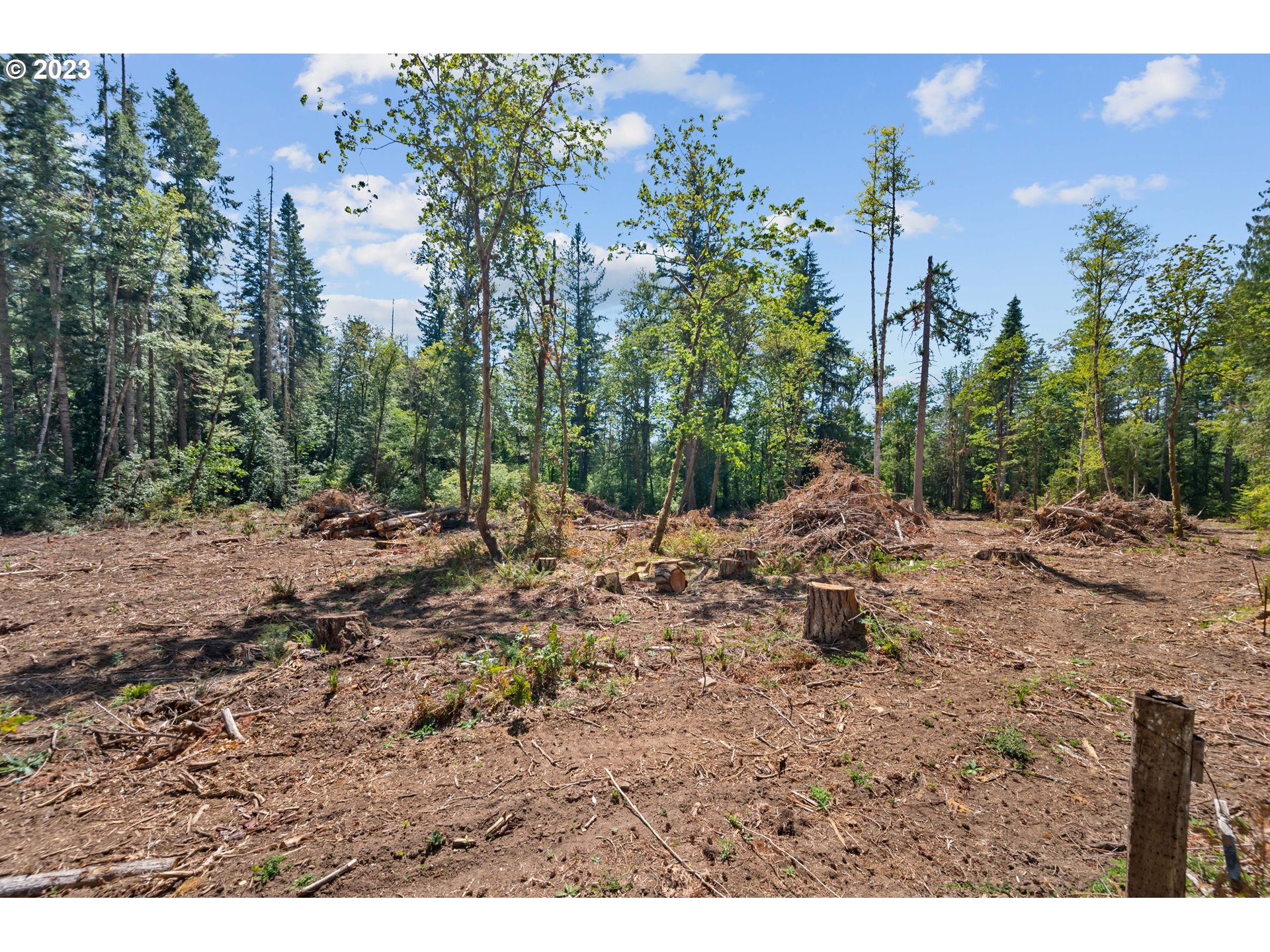 0 South Dhooghe Road Colton, OR 97017 - Photo 5 of 23 a view of a yard with a tree