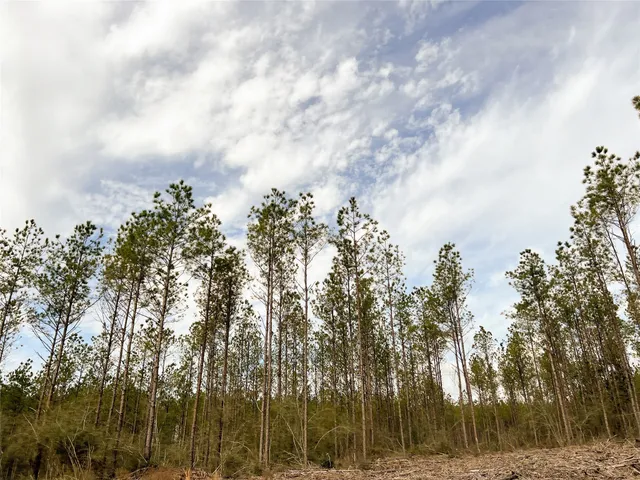 $262,800 | 12 Cr 4415 Spurger Tx 77660, Woodville, TX 75979