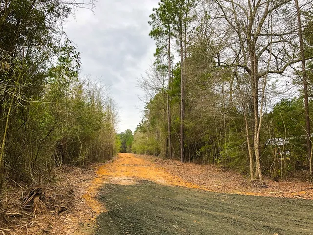 $262,800 | 12 Cr 4415 Spurger Tx 77660, Woodville, TX 75979