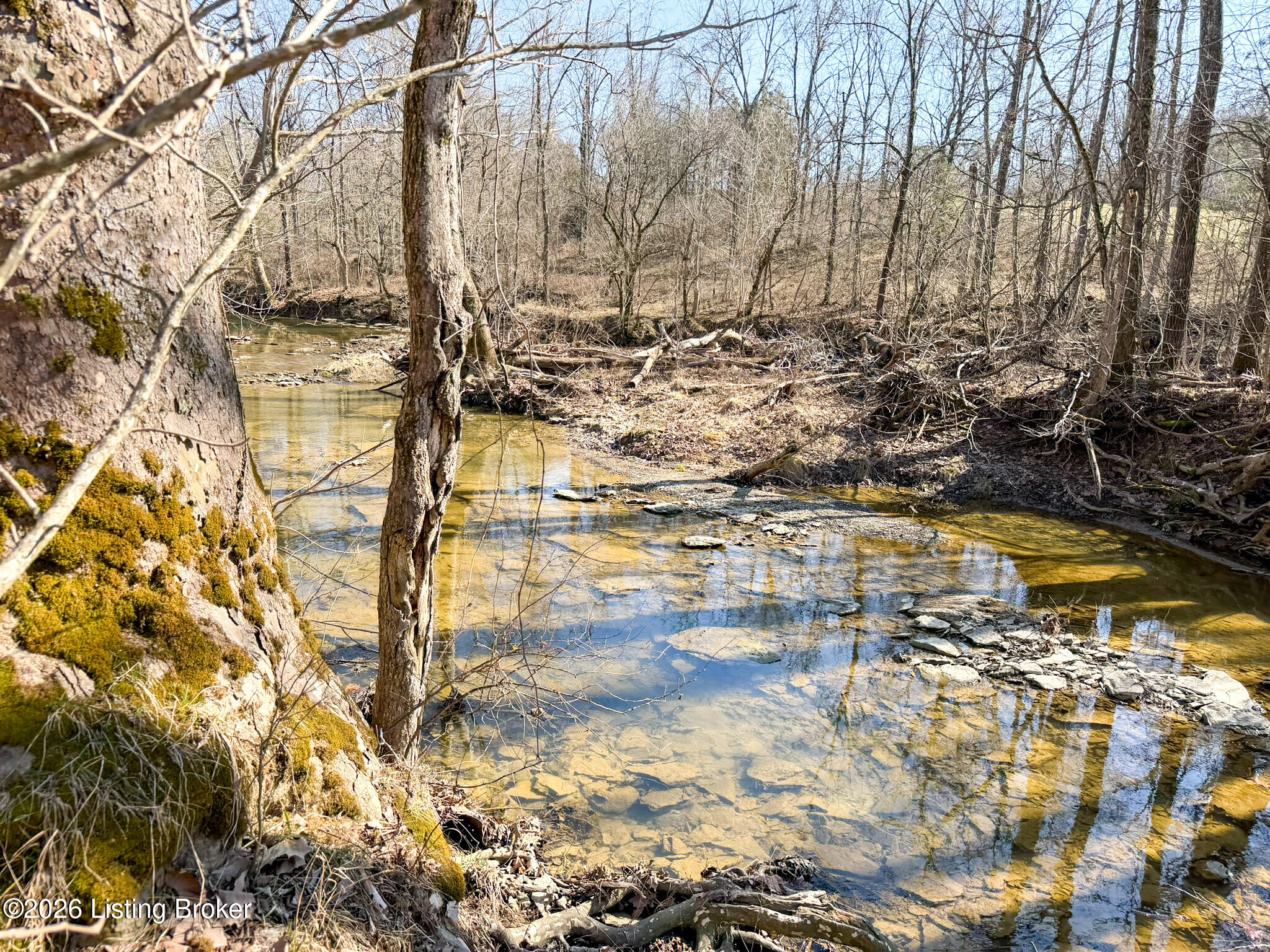 4338 Waddy Road Waddy, KY 40076 - Photo 29 of 39 Large Creek Beech Creek