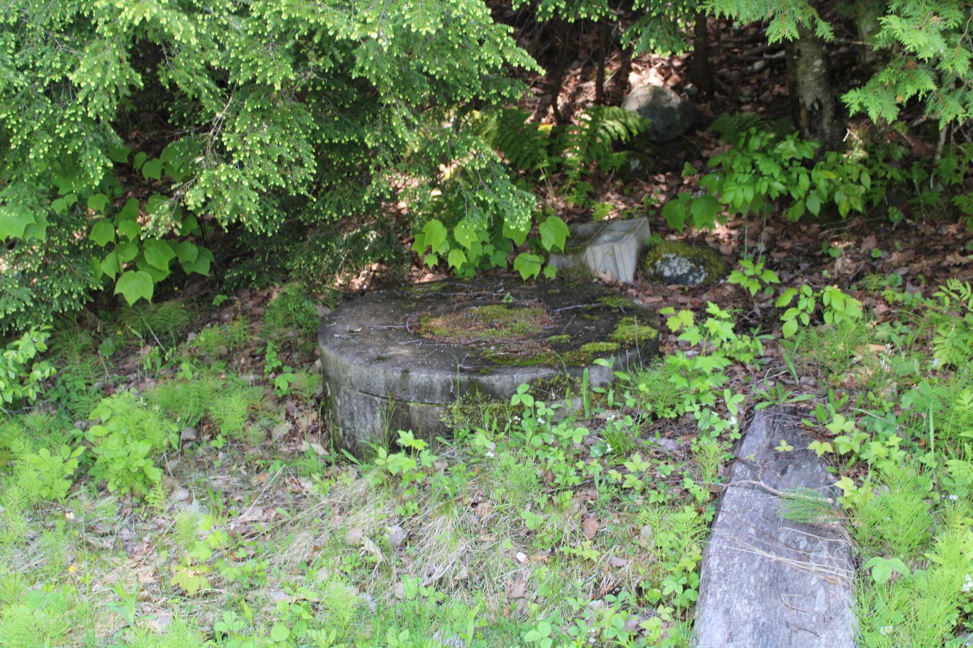 31 Bingham Road Moscow, ME 04920 - Photo 8 of 11 IMG_4646