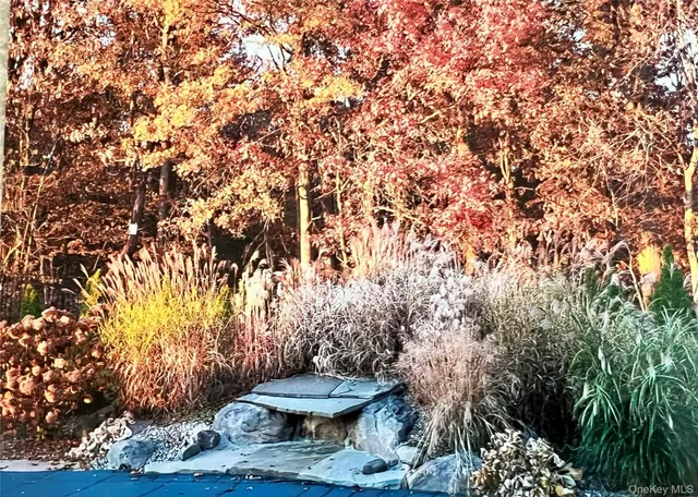 a view of a backyard of the house