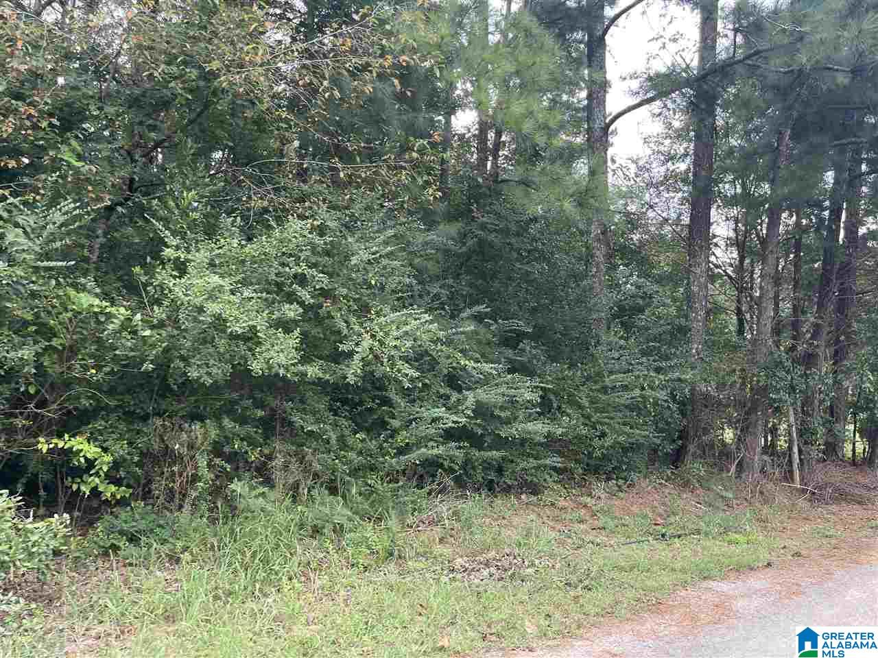 0 Ransome Drive Oneonta, AL 35121 - Photo 2 of 2