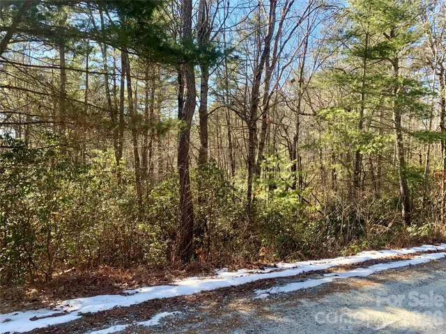 $15,500 | Lot 18 Oak Rdg Drive, Unit 18, Brevard, NC 28712